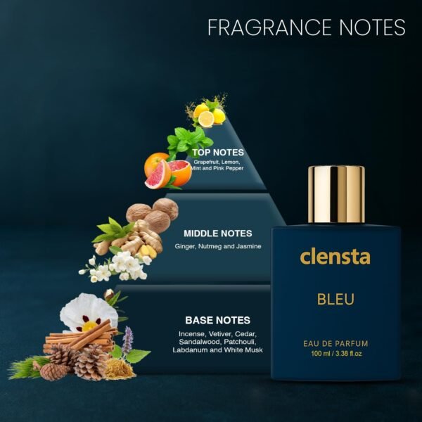Clensta Luxury Bleu Eau De Parfum 100ml EDP Perfume for Man Long Lasting with Incense, Cedar, Sandalwood, Patchouli, White Musk